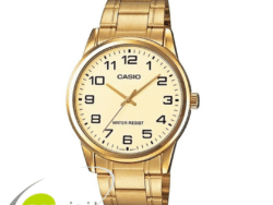 CASIO MTP-V001G-9BUDF