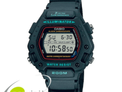 CASIO DW-290-1DF