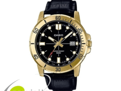 CASIO MTP-VD01GL-1EVUDF