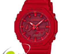 CASIO G-SHOCK GA-2100-4ADR