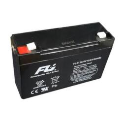 BATERÍA FL6120GS FULI 6V 12AH