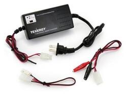 CARGADOR TN025 NiMH-NiCd DE 6V A 12V TENERGY